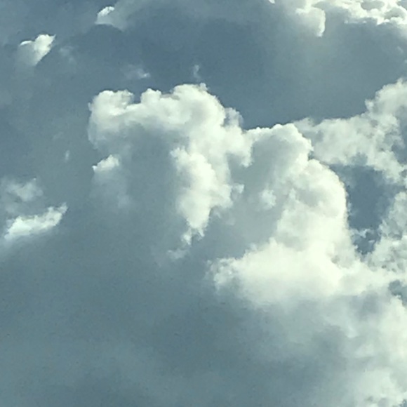 Meet your Posher, Liesl - Picture 1 of 1